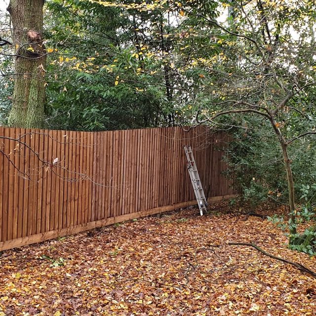 New wooden fence after