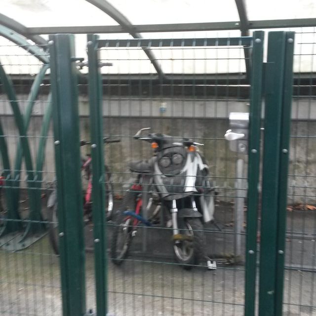 Metal Gate - bike shed