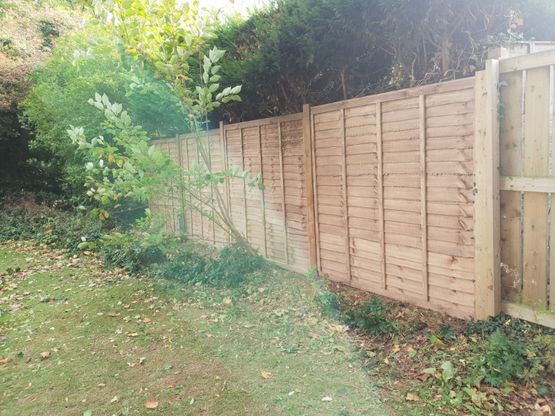 Bespoke Fence