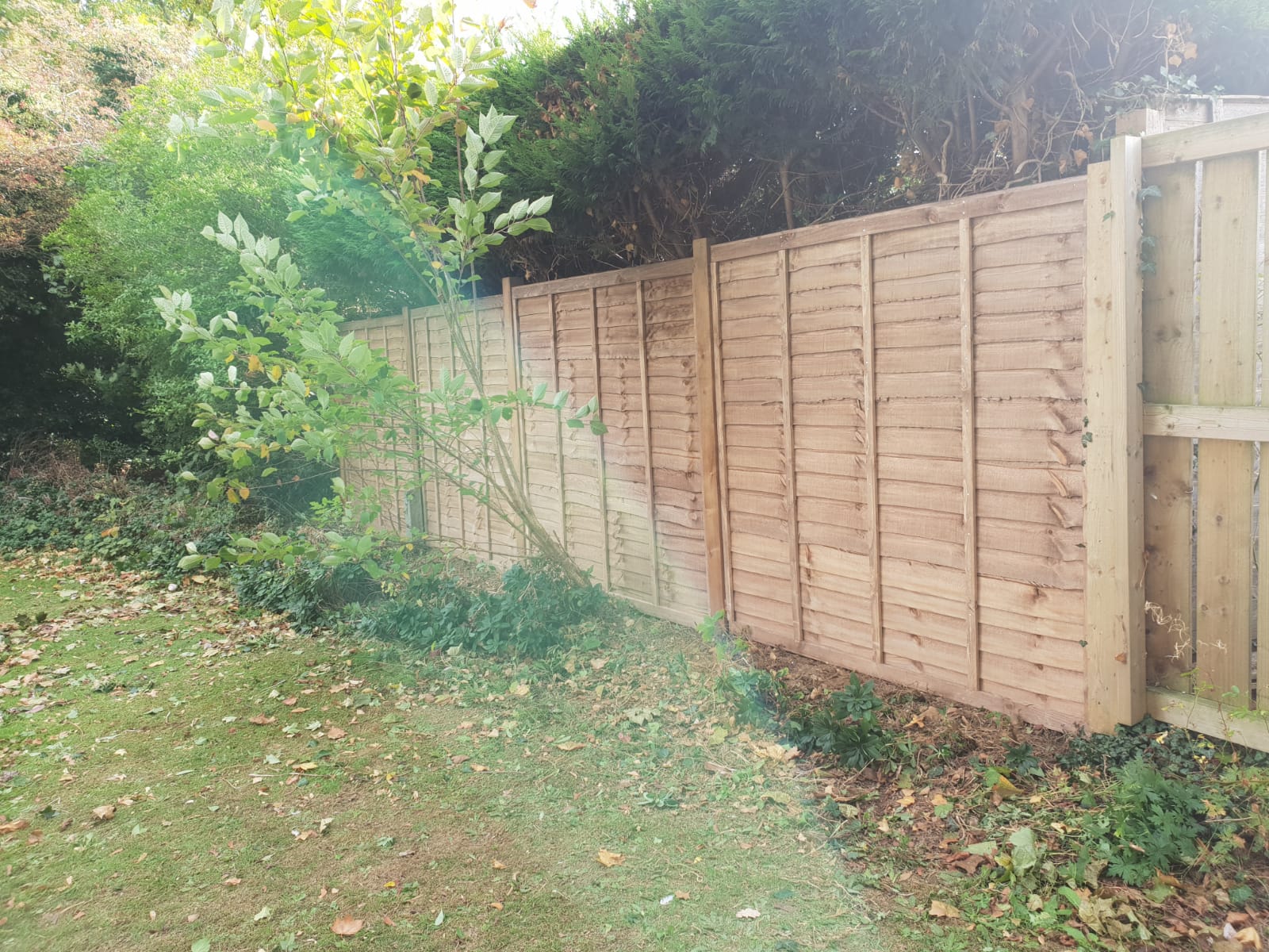 Bespoke Fence