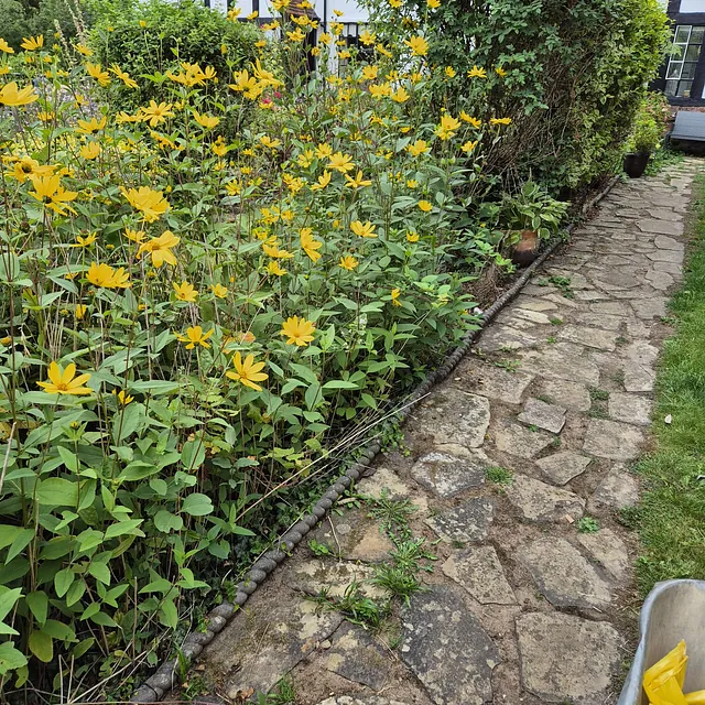 Before fencing fitted in Welwyn Garden City