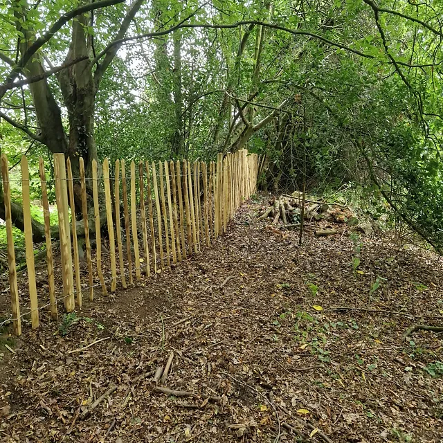 Security Fencing