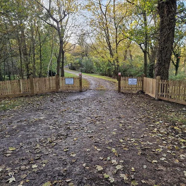 Wooden fencing