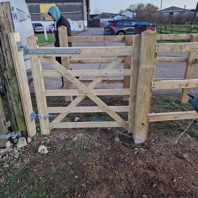 Wooden gate and fencing 