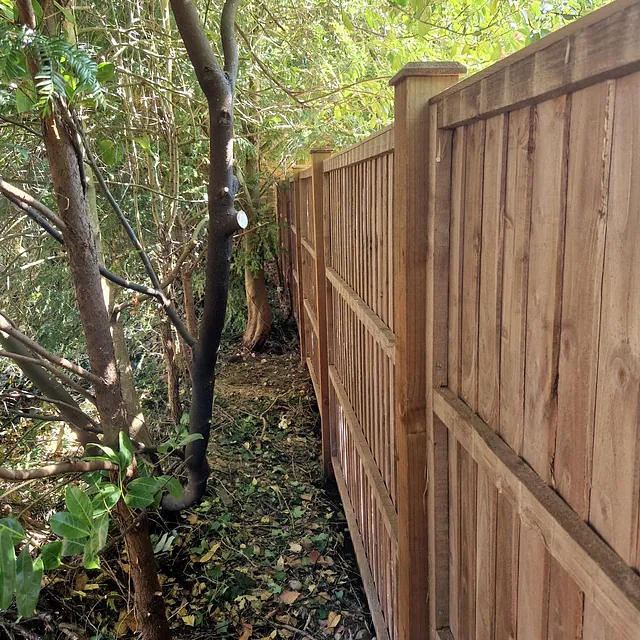 Wooden fencing with wooden posts
